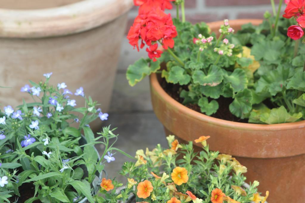 B&B Het Koetshuis Hazerswoude-Dorp 部屋 写真