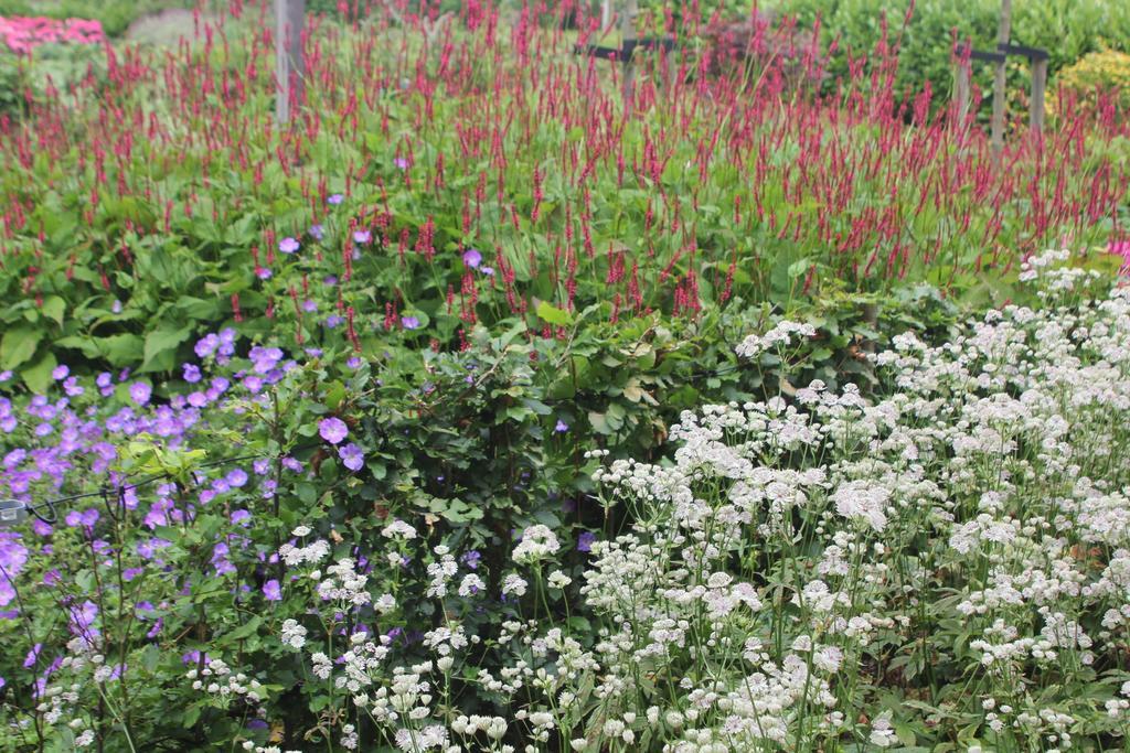 B&B Het Koetshuis Hazerswoude-Dorp 部屋 写真